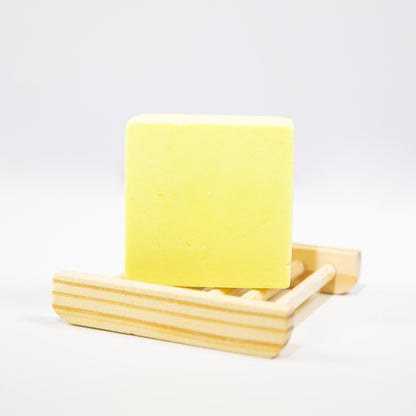 Scalpi: Shampoo en Barra Cuidado del Cuero Cabelludo con Eucalipto y Cúrcuma