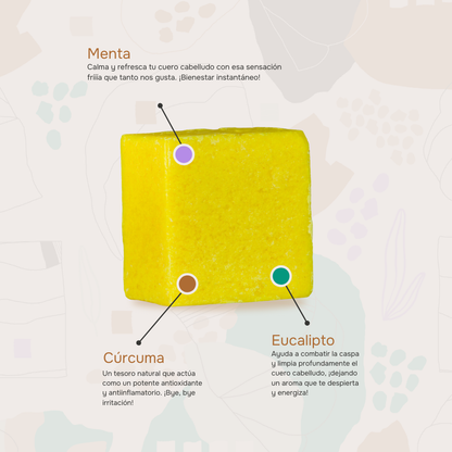 Scalpi: Shampoo en Barra Cuidado del Cuero Cabelludo con Eucalipto y Cúrcuma